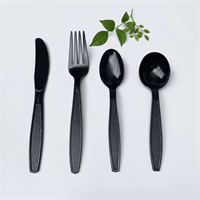 Cutlery from disposablesInc.com. The best import service in China. Import your disposable items from us.